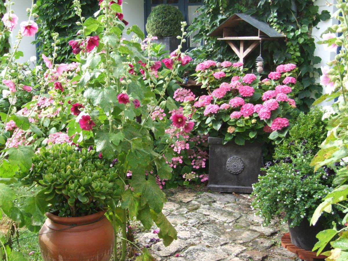 Bed and Breakfast Les Glycines Ury Exterior foto