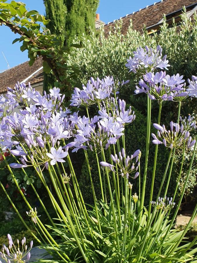 Bed and Breakfast Les Glycines Ury Exterior foto