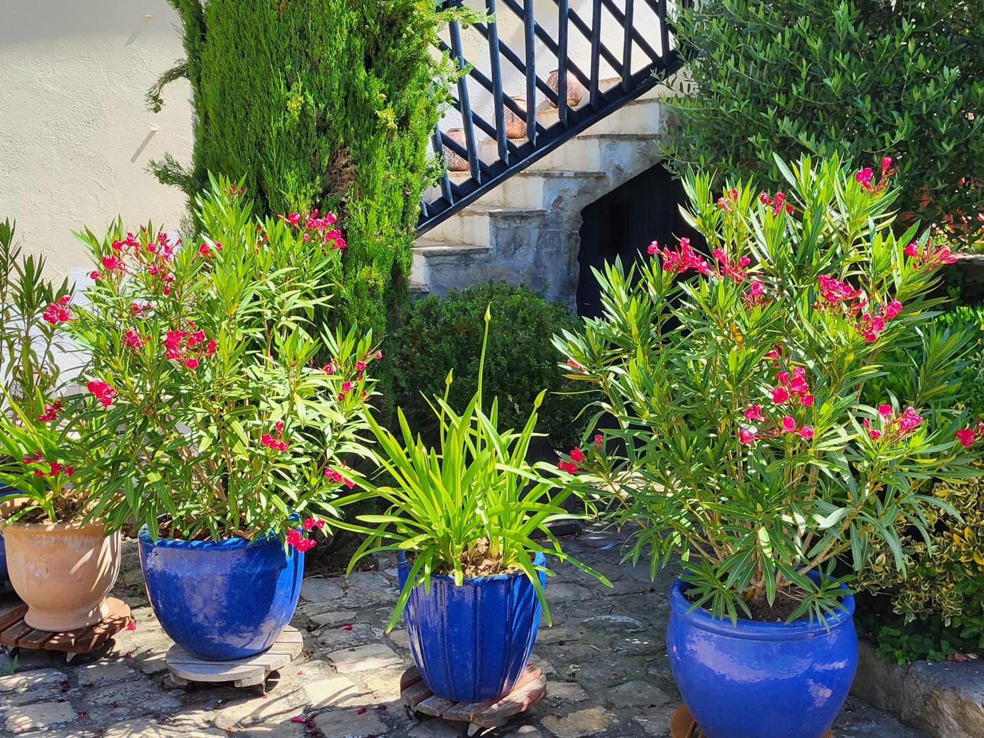 Bed and Breakfast Les Glycines Ury Exterior foto