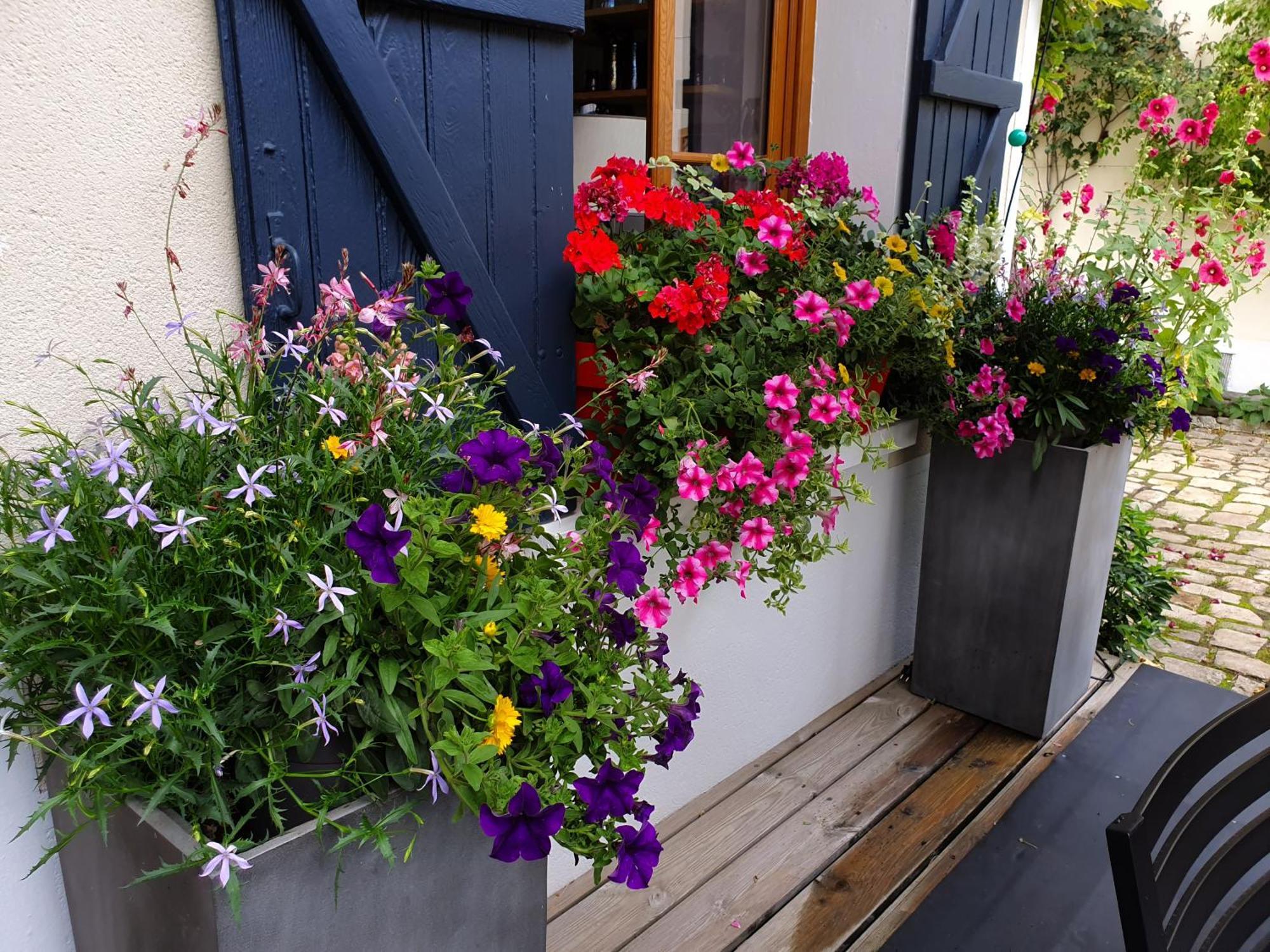 Bed and Breakfast Les Glycines Ury Exterior foto