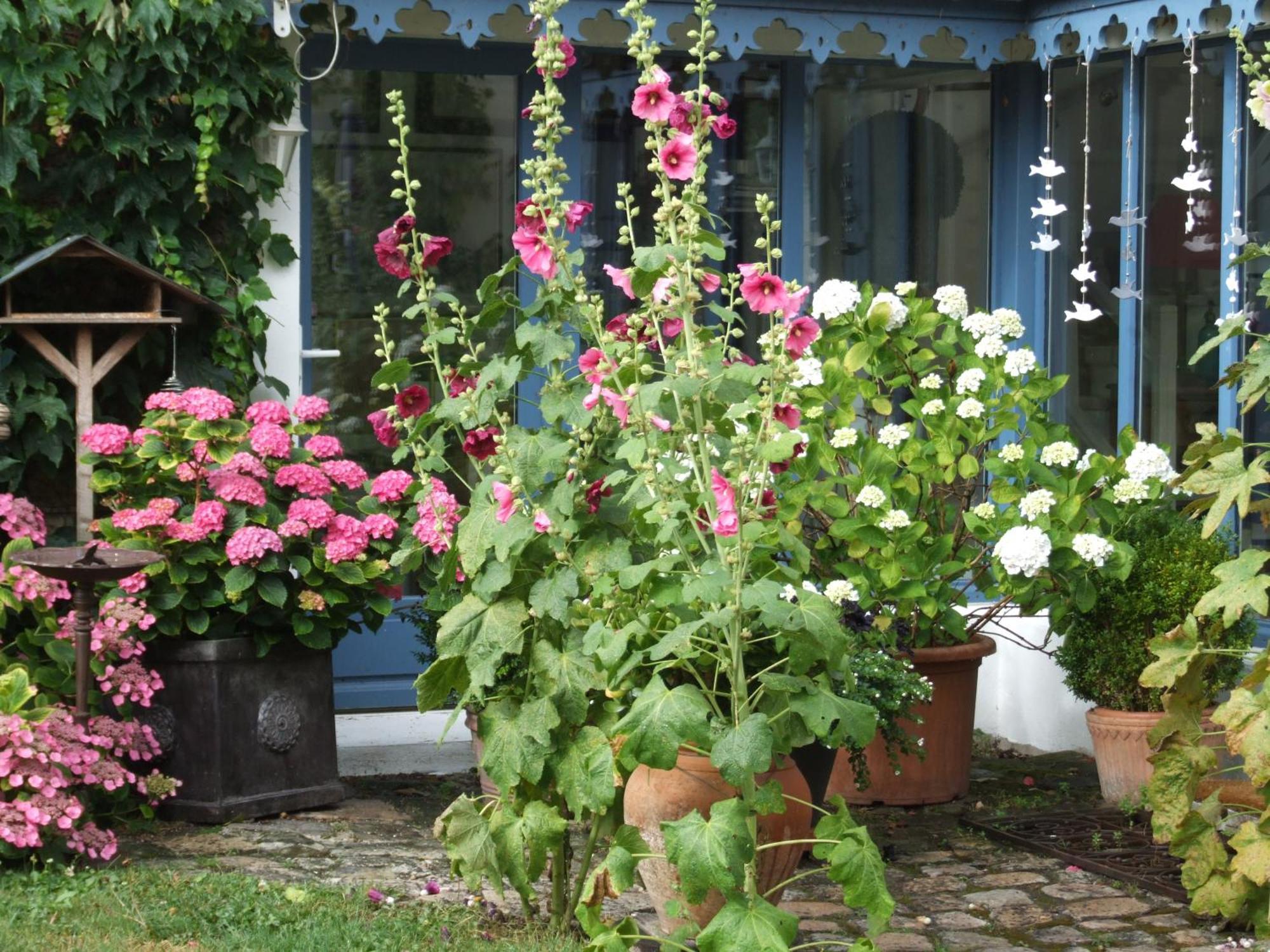 Bed and Breakfast Les Glycines Ury Exterior foto