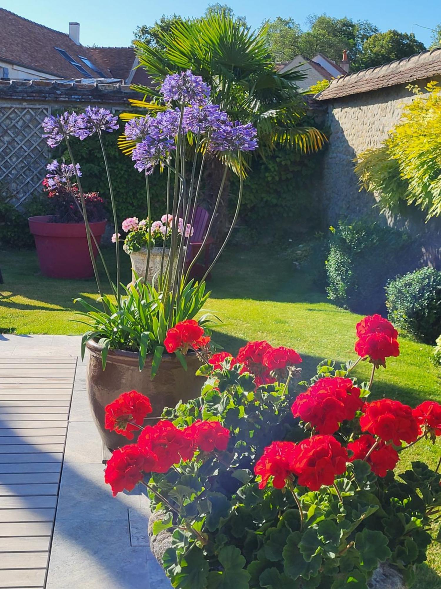 Bed and Breakfast Les Glycines Ury Exterior foto