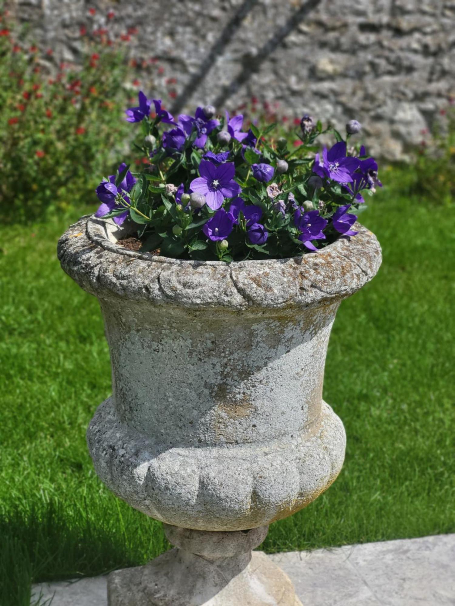 Bed and Breakfast Les Glycines Ury Exterior foto