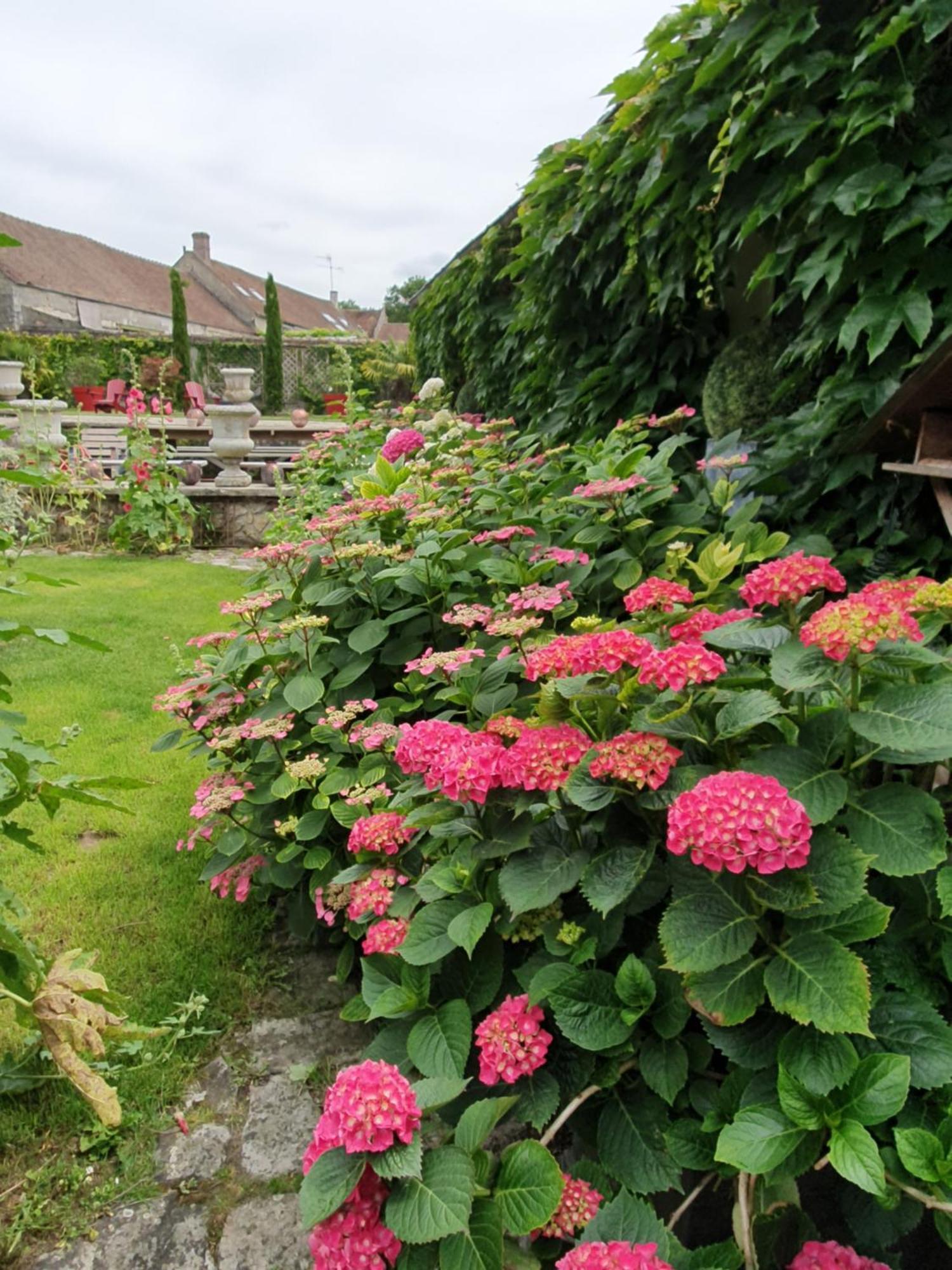 Bed and Breakfast Les Glycines Ury Exterior foto